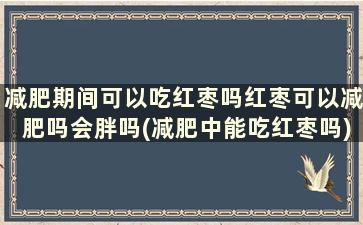 减肥期间可以吃红枣吗红枣可以减肥吗会胖吗(减肥中能吃红枣吗)