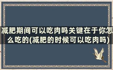 减肥期间可以吃肉吗关键在于你怎么吃的(减肥的时候可以吃肉吗)