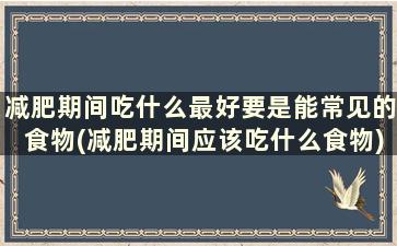 减肥期间吃什么最好要是能常见的食物(减肥期间应该吃什么食物)