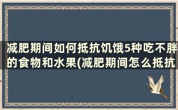 减肥期间如何抵抗饥饿5种吃不胖的食物和水果(减肥期间怎么抵抗饥饿)