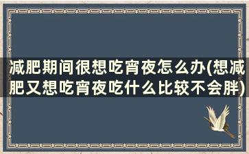 减肥期间很想吃宵夜怎么办(想减肥又想吃宵夜吃什么比较不会胖)