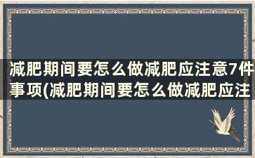 减肥期间要怎么做减肥应注意7件事项(减肥期间要怎么做减肥应注意7件事呢)