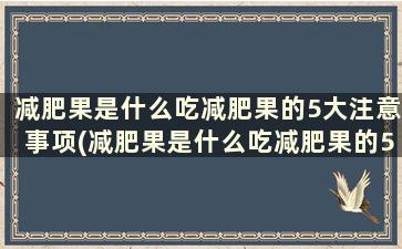 减肥果是什么吃减肥果的5大注意事项(减肥果是什么吃减肥果的5大注意事项是什么)