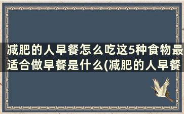 减肥的人早餐怎么吃这5种食物最适合做早餐是什么(减肥的人早餐应该怎么吃)