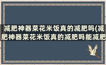 减肥神器菜花米饭真的减肥吗(减肥神器菜花米饭真的减肥吗能减肥吗)