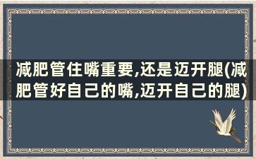 减肥管住嘴重要,还是迈开腿(减肥管好自己的嘴,迈开自己的腿)