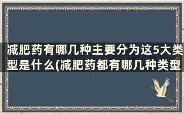 减肥药有哪几种主要分为这5大类型是什么(减肥药都有哪几种类型)