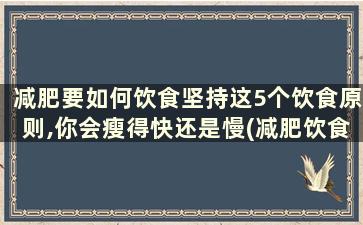 减肥要如何饮食坚持这5个饮食原则,你会瘦得快还是慢(减肥饮食技巧)