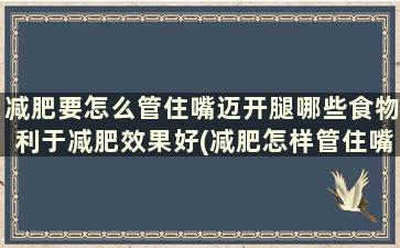 减肥要怎么管住嘴迈开腿哪些食物利于减肥效果好(减肥怎样管住嘴迈开腿)