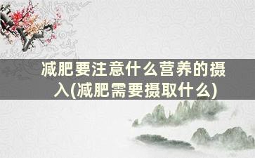 减肥要注意什么营养的摄入(减肥需要摄取什么)