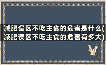 减肥误区不吃主食的危害是什么(减肥误区不吃主食的危害有多大)