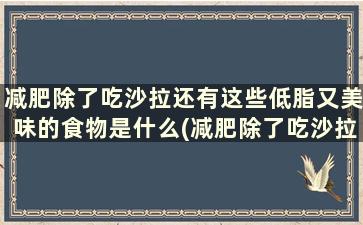 减肥除了吃沙拉还有这些低脂又美味的食物是什么(减肥除了吃沙拉还有这些低脂又美味的食物可以吗)