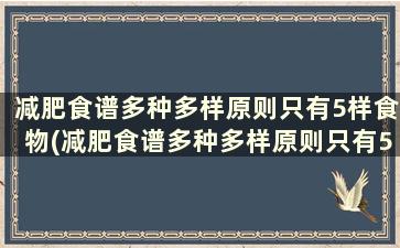 减肥食谱多种多样原则只有5样食物(减肥食谱多种多样原则只有5样怎么办)