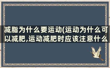 减脂为什么要运动(运动为什么可以减肥,运动减肥时应该注意什么)