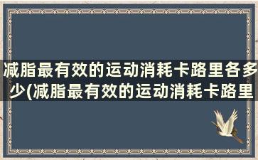 减脂最有效的运动消耗卡路里各多少(减脂最有效的运动消耗卡路里各多少)