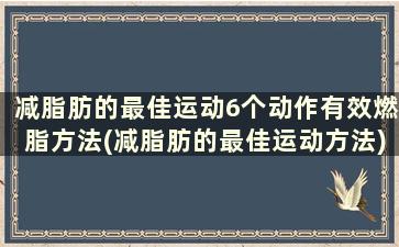 减脂肪的最佳运动6个动作有效燃脂方法(减脂肪的最佳运动方法)