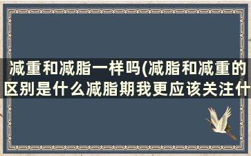 减重和减脂一样吗(减脂和减重的区别是什么减脂期我更应该关注什么)