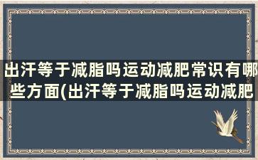 出汗等于减脂吗运动减肥常识有哪些方面(出汗等于减脂吗运动减肥常识有哪些问题)