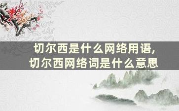 切尔西是什么网络用语,切尔西网络词是什么意思