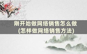 刚开始做网络销售怎么做(怎样做网络销售方法)