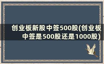 创业板新股中签500股(创业板中签是500股还是1000股)