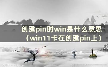 创建pin时win是什么意思（win11卡在创建pin上）