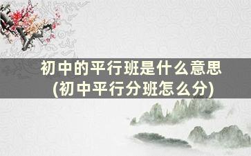 初中的平行班是什么意思(初中平行分班怎么分)