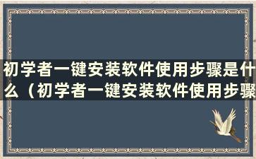 初学者一键安装软件使用步骤是什么（初学者一键安装软件使用步骤视频）