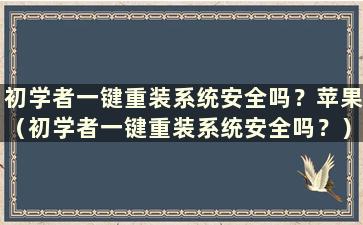 初学者一键重装系统安全吗？苹果（初学者一键重装系统安全吗？）