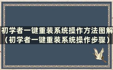 初学者一键重装系统操作方法图解（初学者一键重装系统操作步骤）