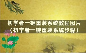 初学者一键重装系统教程图片（初学者一键重装系统步骤）