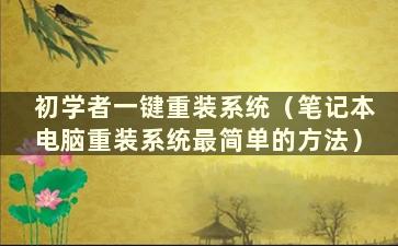 初学者一键重装系统（笔记本电脑重装系统最简单的方法）