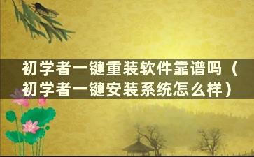 初学者一键重装软件靠谱吗（初学者一键安装系统怎么样）