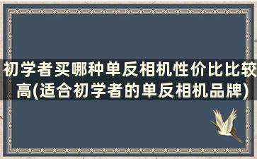 初学者买哪种单反相机性价比比较高(适合初学者的单反相机品牌)