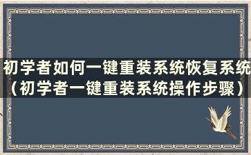 初学者如何一键重装系统恢复系统（初学者一键重装系统操作步骤）