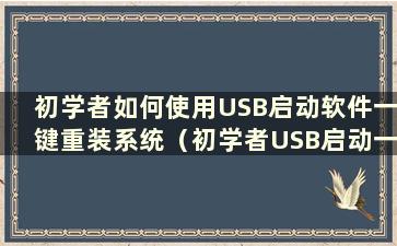 初学者如何使用USB启动软件一键重装系统（初学者USB启动一键教程）