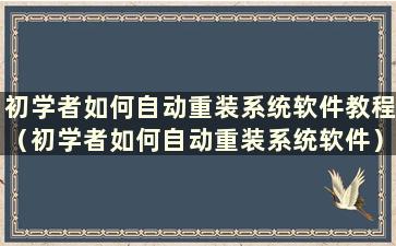 初学者如何自动重装系统软件教程（初学者如何自动重装系统软件）