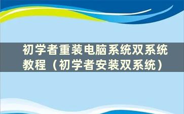 初学者重装电脑系统双系统教程（初学者安装双系统）