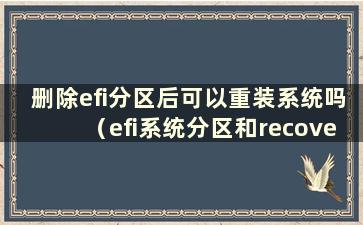 删除efi分区后可以重装系统吗（efi系统分区和recovery分区可以删除吗）