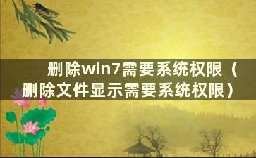 删除win7需要系统权限（删除文件显示需要系统权限）