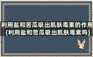 利用盐和苦瓜吸出肌肤毒素的作用(利用盐和苦瓜吸出肌肤毒素吗)