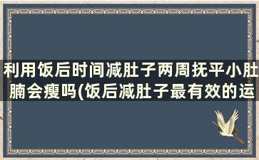 利用饭后时间减肚子两周抚平小肚腩会瘦吗(饭后减肚子最有效的运动方法)