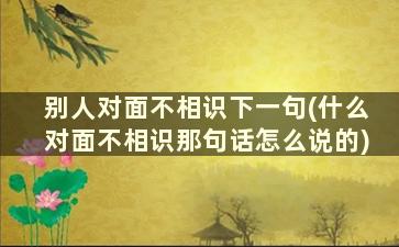 别人对面不相识下一句(什么对面不相识那句话怎么说的)