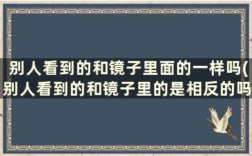 别人看到的和镜子里面的一样吗(别人看到的和镜子里的是相反的吗)