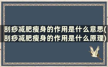 刮痧减肥瘦身的作用是什么意思(刮痧减肥瘦身的作用是什么原理)