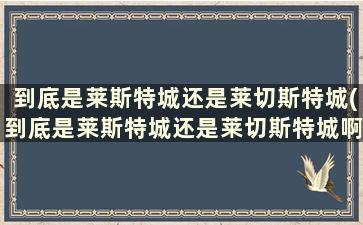 到底是莱斯特城还是莱切斯特城(到底是莱斯特城还是莱切斯特城啊)