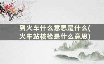 到火车什么意思是什么(火车站核检是什么意思)