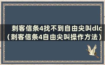 刺客信条4找不到自由尖叫dlc（刺客信条4自由尖叫操作方法）