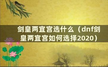 剑皇两宜宫选什么（dnf剑皇两宜宫如何选择2020）