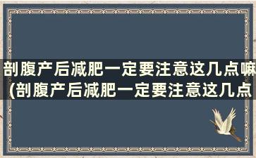 剖腹产后减肥一定要注意这几点嘛(剖腹产后减肥一定要注意这几点的事情)